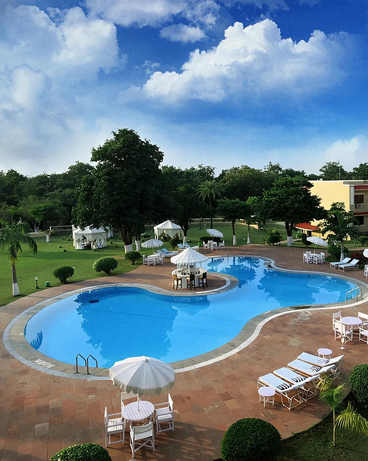 The pool and lawns at The Clarks Khajuraho, with white umbrellas and palm trees